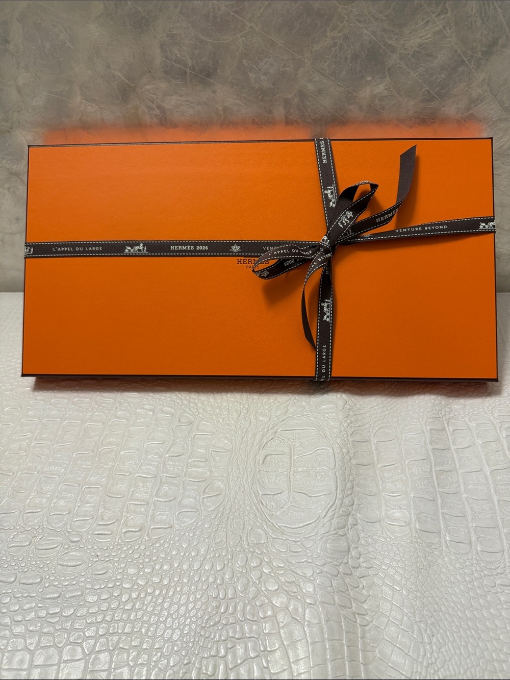 Hermes rectangular Brand New. T-Shirt,Scarf, belt, jewelry, TWILLY or a gift box
